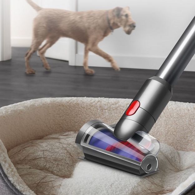  Balai Aspirateur DYSON V12 Slim Absolute