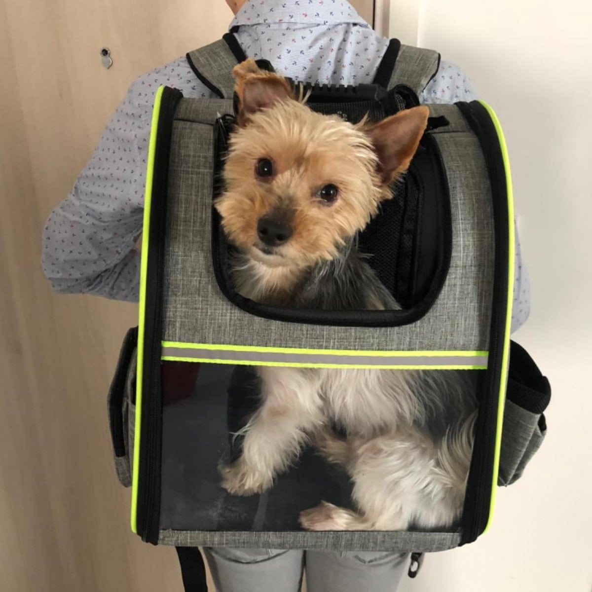  Sac de transport animaux - sac à dos robuste et extensible - Pecute