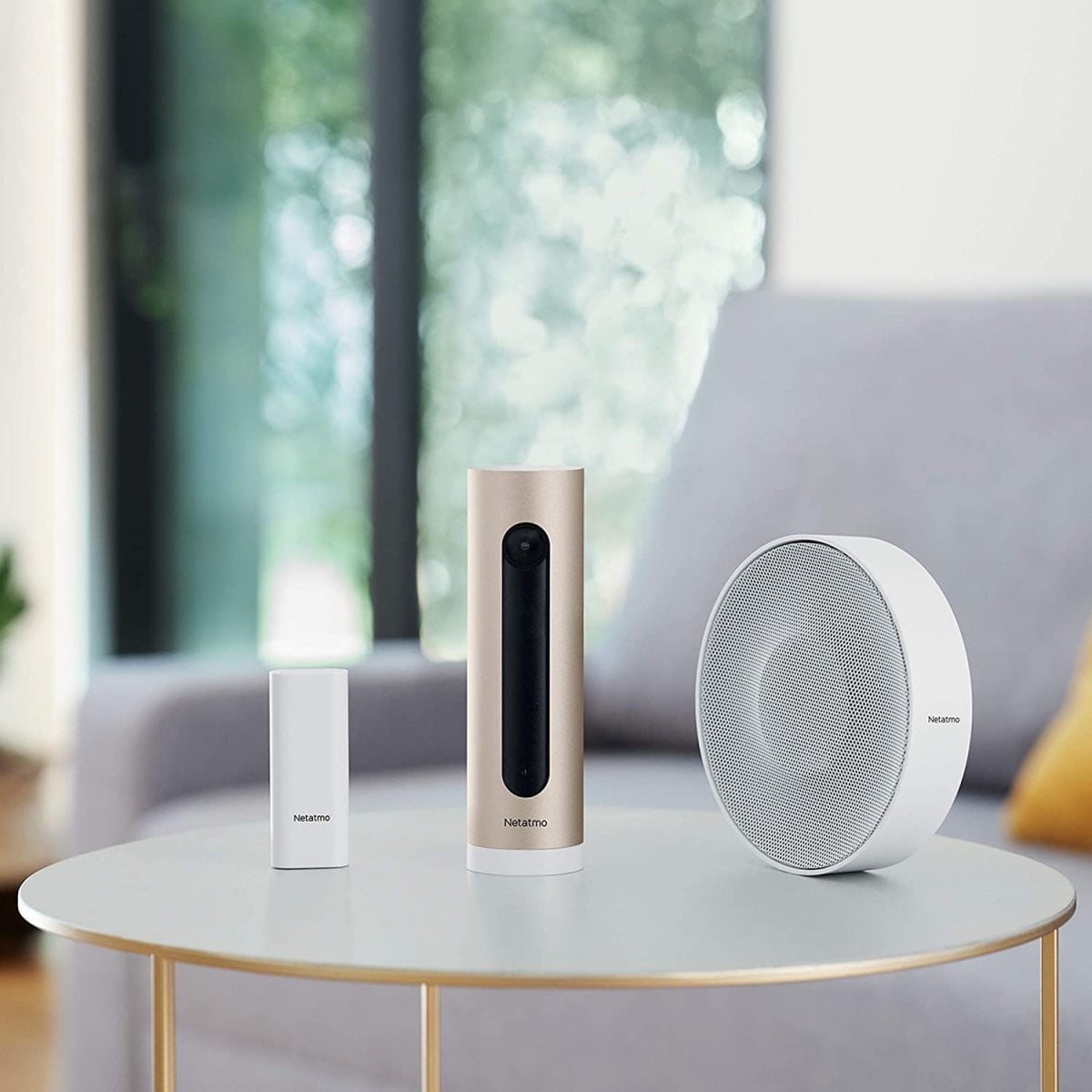  Kit Caméra de surveillance Wifi 1080P + Sirène 110 dB + Détecteurs porte - Netatmo