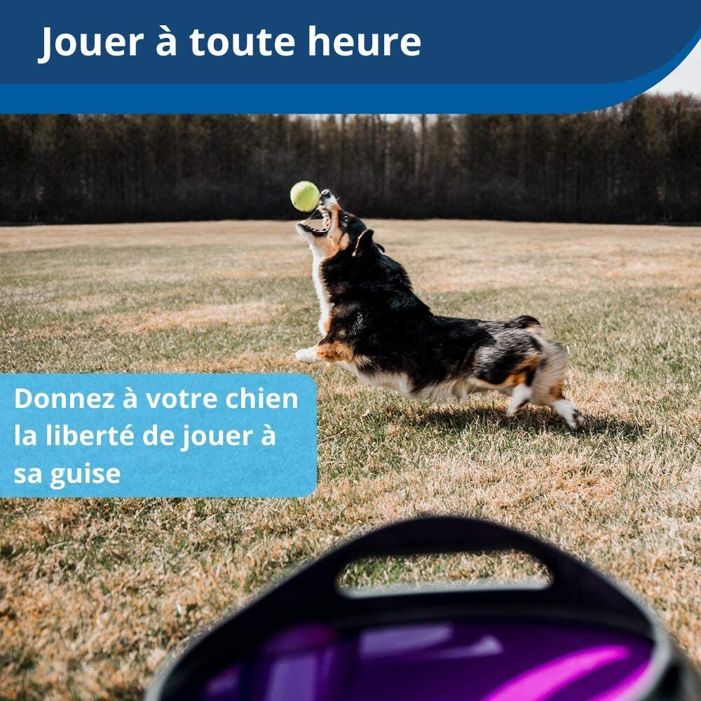  Lanceur de balles de tennis - jouet pour chien