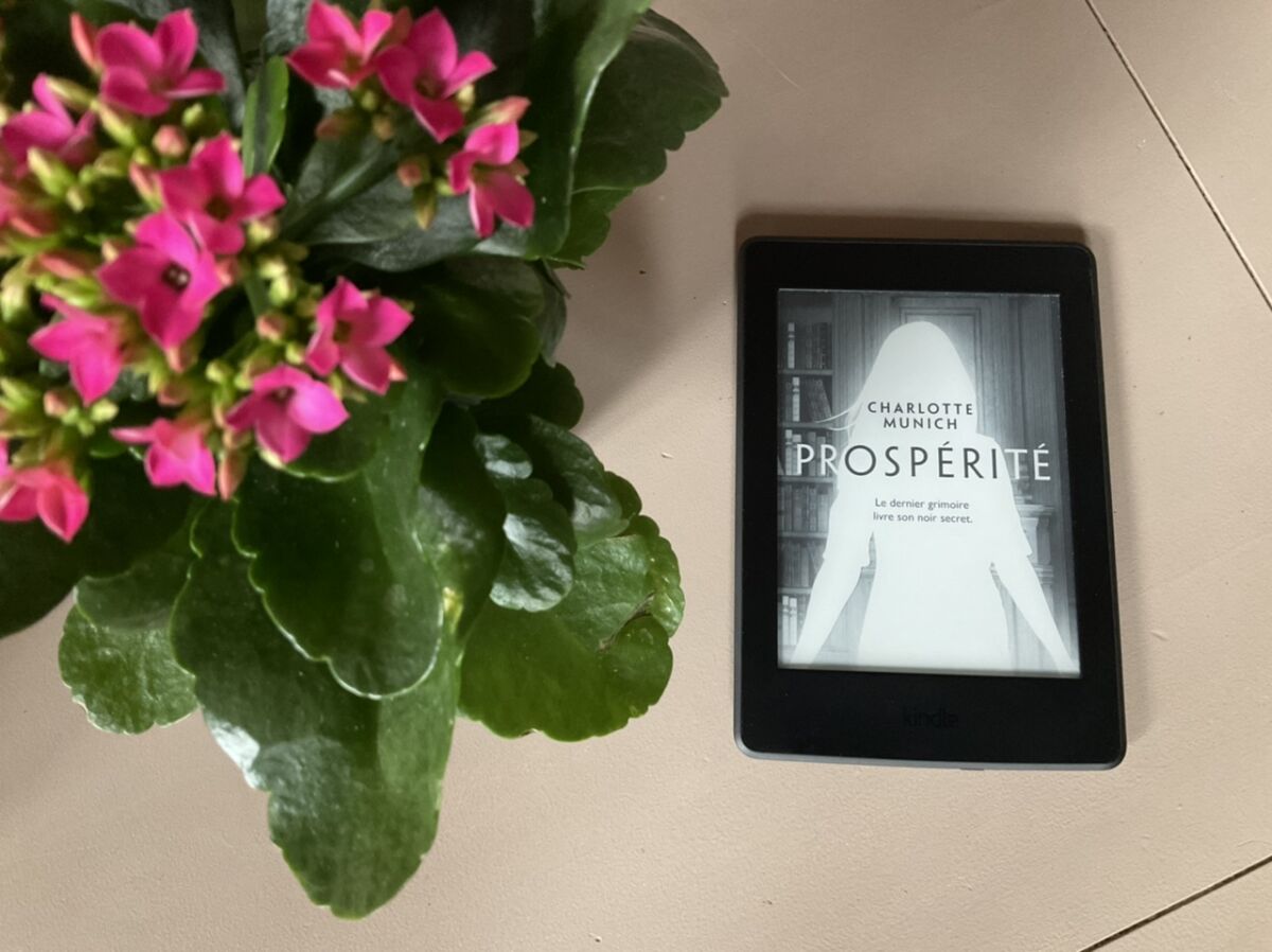 Tablette liseuse kindle  - le grand test