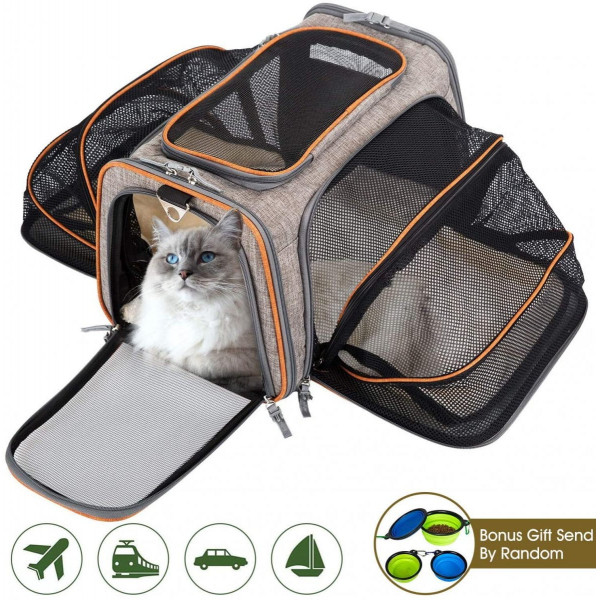 Guide Des Meilleurs Sacs De Transport Chat Et Chien Mai 21