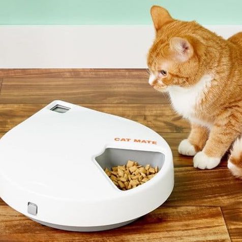  Distributeur Automatique Réfrigéré pour Croquettes et Pâtée - 5 Repas - CATMATE C500