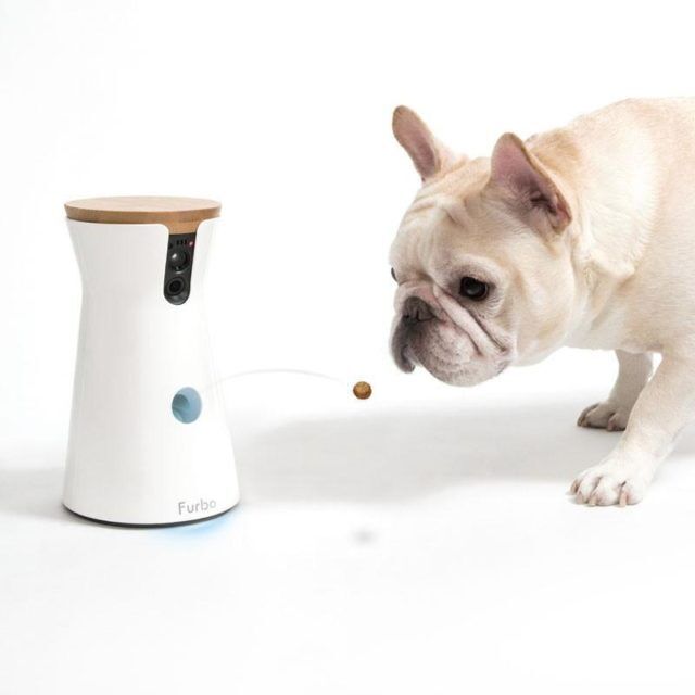  Distributeur de friandises connecté avec caméra pour chien - Furbo
