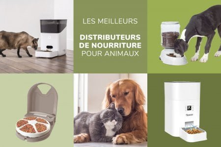 Comparatif complet des meilleurs distributeurs automatique de nourriture pour chat et chien - test produit