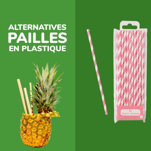 Guide des alternatives aux pailles en plastique - Les gestes éco-responsables important contre la pollution des océans