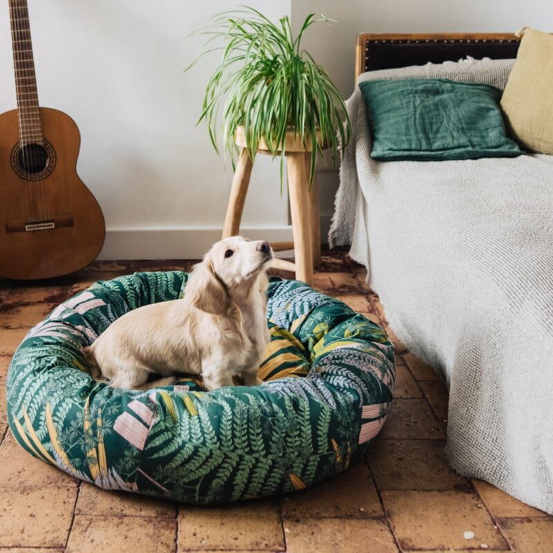 Petit chien dans son panier plein de puces