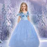  Robe de Princesse - Déguisement Elsa - Reine des Neiges