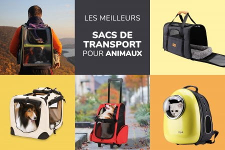 Test et comparatif des meilleurs sacs de transport pour chat et chien - Sac à dos ou à roulettes