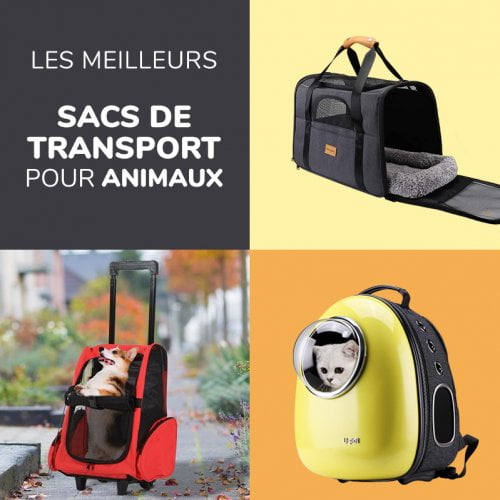 Test et comparatif des meilleurs sacs de transport pour chat et chien - Sac à dos ou à roulettes