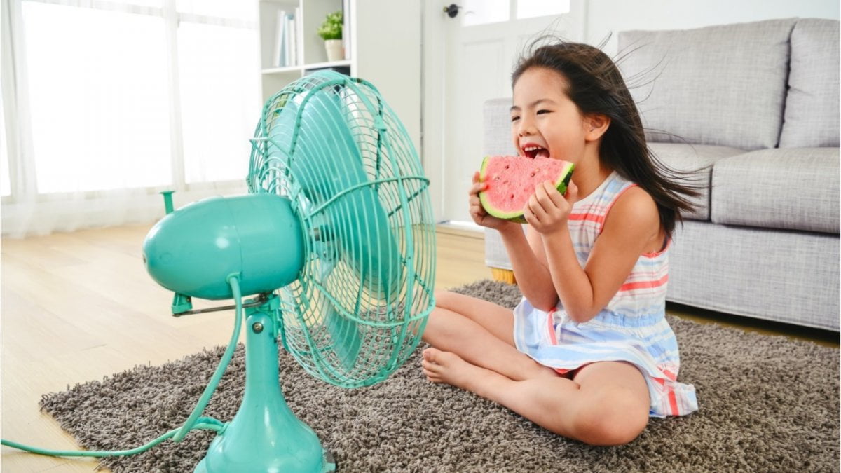 Quels sont les avantages d'un ventilateur en 2020 ? - Fille qui manque de la pastèque devant un ventilateur vintage